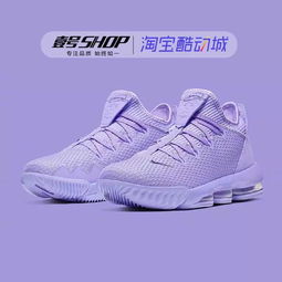 AJ5 密歇根 AlphaDunk 與高性價比球鞋護理用品推薦