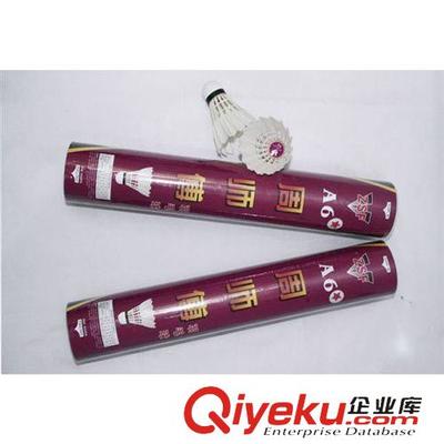 周師傅A6+羽毛球 飛行穩定耐打的升級之選